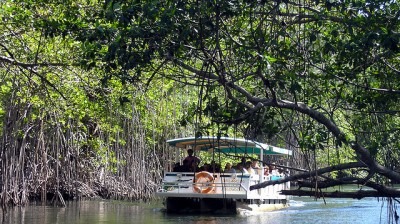 Black River Safari, Saint Elizabeth, Jamaica